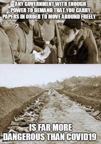 image_1638038699.112