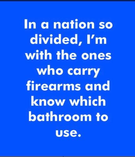 84cb63e67989054f2ffaee9443f879fd_500x0