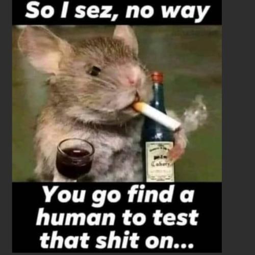 251663330_316239893262498_4308581102333949395_n