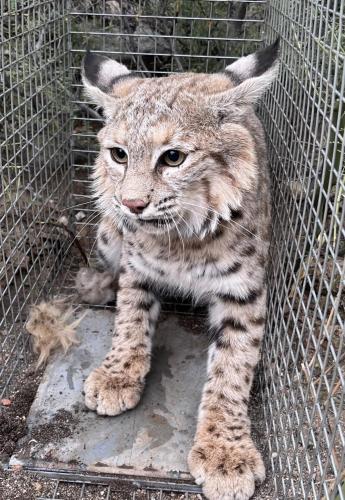 922DE9FB-E005-48AB-ADCC-85D9EDFE649B