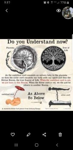 Screenshot_20211105-155741_Gallery