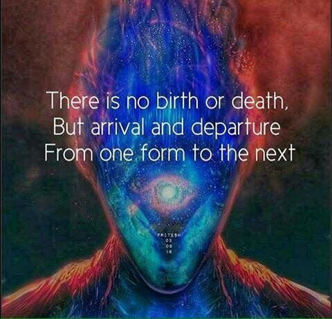 26fd587f688e925a506d5e6b4e43e8d8