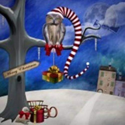 FB_IMG_1607693860141