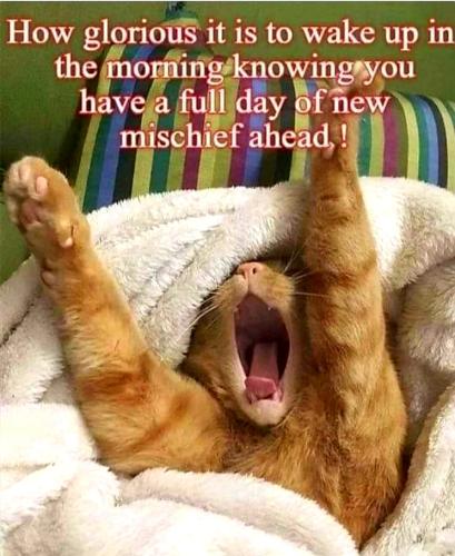 IMG_20211128_111406_810