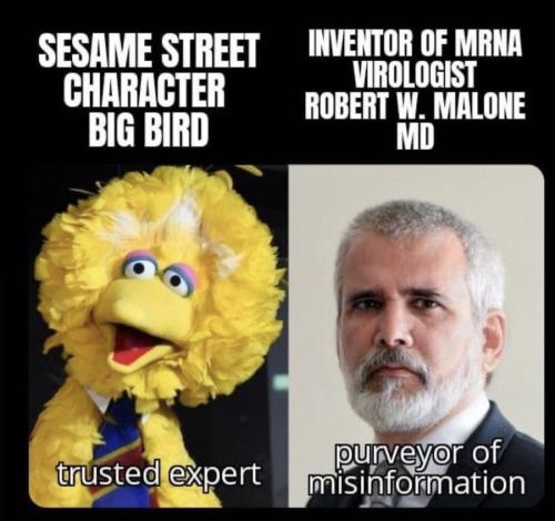 C71FB0AC-1615-47C2-9FF0-45BBD17E6C8F