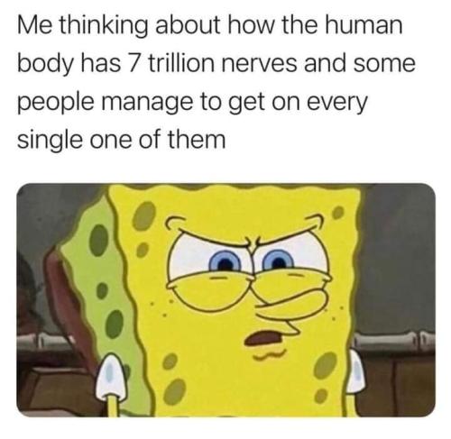 FB_IMG_1637155446490