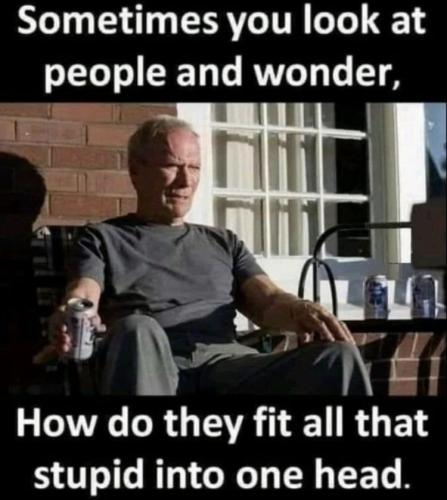 image_1637511511.598