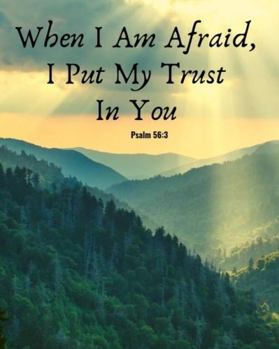 IMG_20211114_135329_437