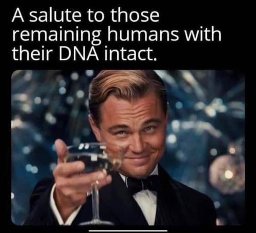 image_1637194256.037