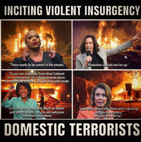 Democrats inciting violence
