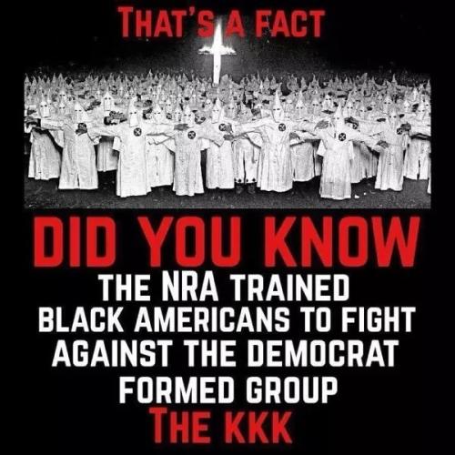 image_1635952646.974