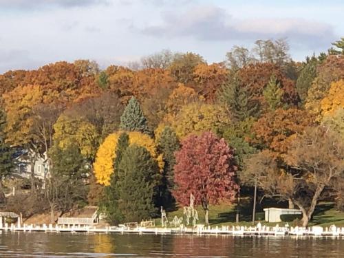 1E238800-B717-46A3-9B41-7303206CFD58