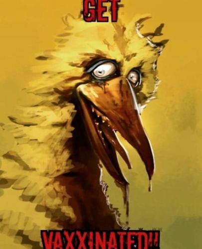 256393497_3140019792940857_969554847380368152_n