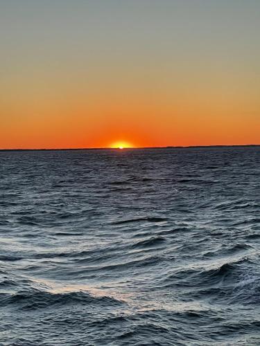 IMG_9629
