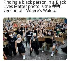 blmwaldo