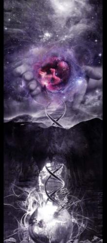 Screenshot_20211102-112327_Photos