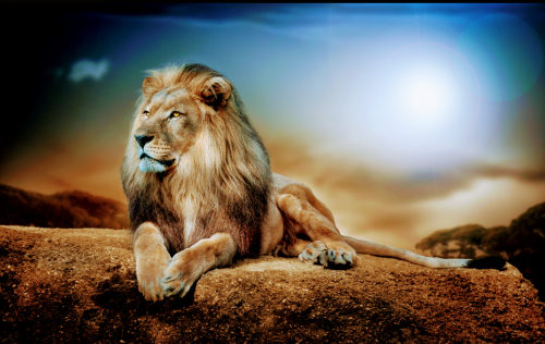 Screenshot_20211104-223831~2