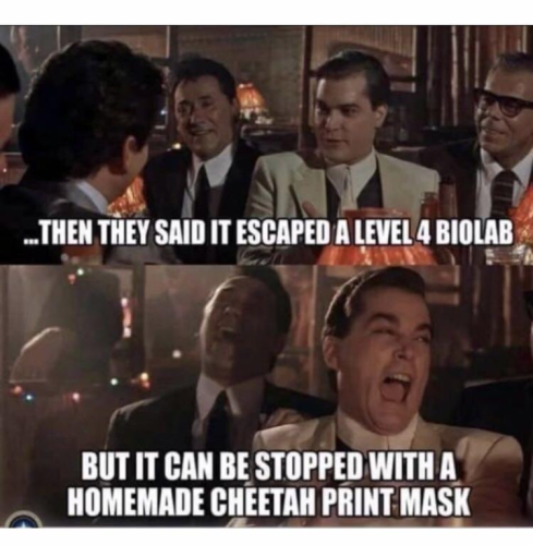 WU-FLU ESCAPE AND MASKS