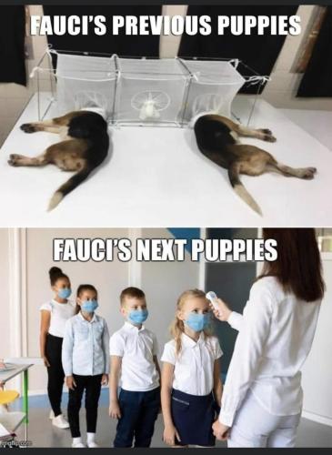 A3A9246B-5C29-438B-AAAD-CD7A46AD954C