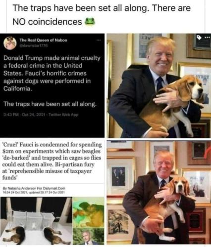 871776FC-8E33-440B-A883-9BDF89A716B2