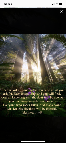 AFACEB2C-D1B6-4F86-9127-3A7A184BB899