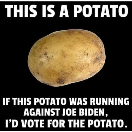 Vote for Potato
