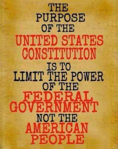 F Constitution