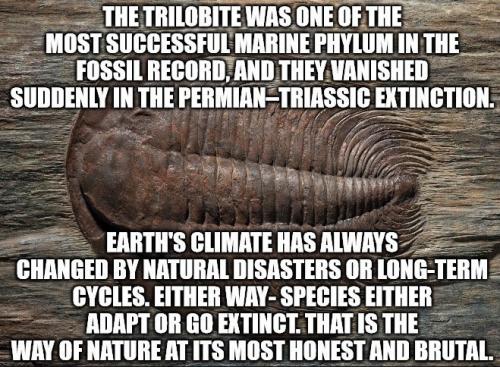 u_4f19a229ffd7e82494e7171a87340e95619009508cae7__rwow659__rwoh507.16333333333__rwms24.163333333333