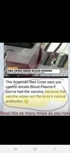 Screenshot_20211125-091921_Wimkin