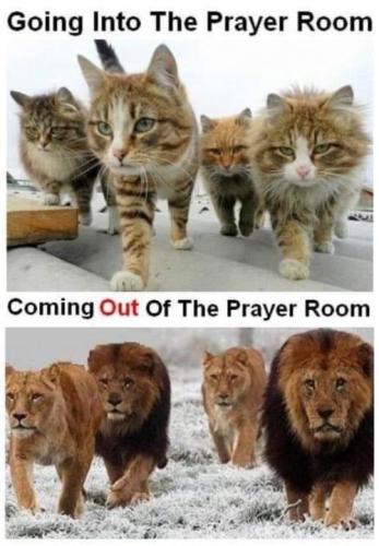 1bab76b3658563f4e5409b5fac4bb5e9