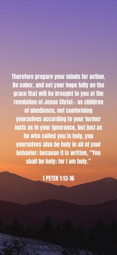 4252D84C-DCE5-45F9-A768-0BDBEC2EEA1E