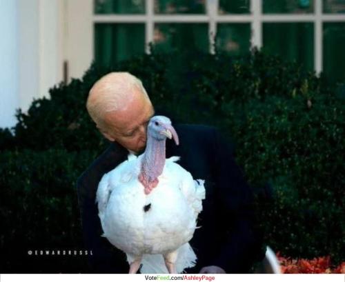 Biden sniffs turkey