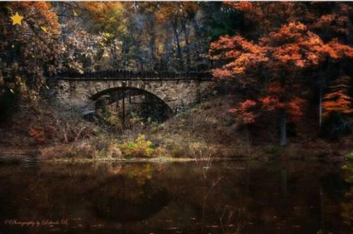 D08B7E99-F355-42CF-8E05-894CC01D44D9