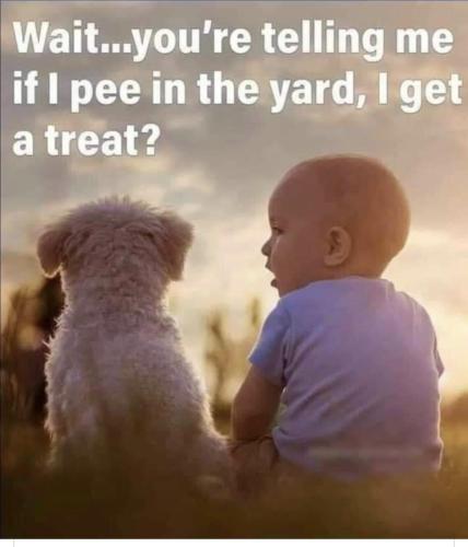 A354F346-82F4-4EA7-B97C-8816F2F59EB3