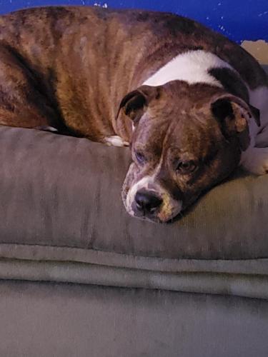 16372134073007517878085291239175