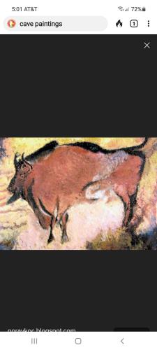 Screenshot_20211111-170138_DuckDuckGo