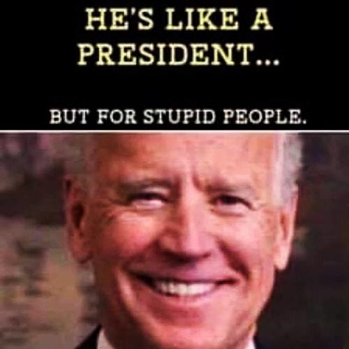M for stupid