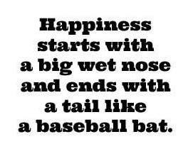 Great Dane - Tail like a baseball bat