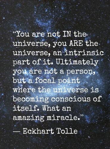 d900813ce42a666c6718fa694976dde2-1