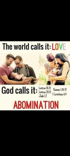 image_1637164409.069