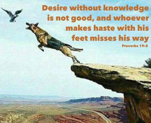 Tumblr_l_24795927983300