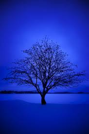 906A6AAC-FA52-45AB-971F-5F6742DC35C7