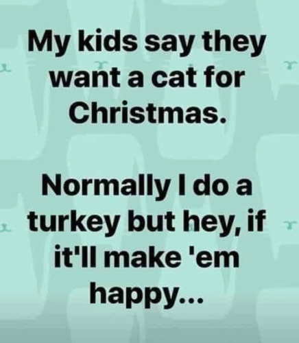 67198053_512081786228494_5880845744839065600_o