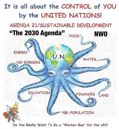 Agenda 2030 Octopus