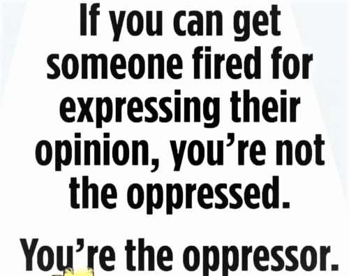 Freedom Of Expression Meme (2)