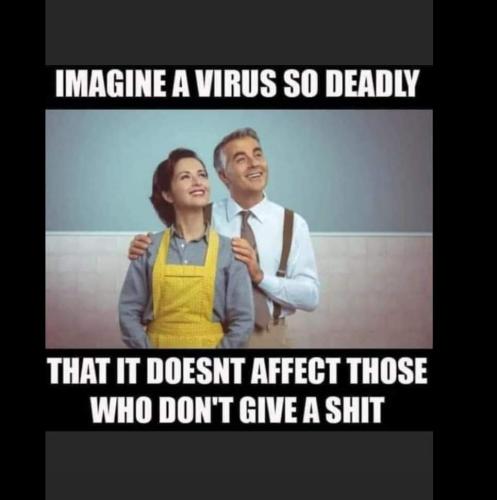 FB_IMG_1637295045282