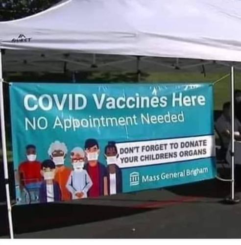 vaccine and your childrens organs