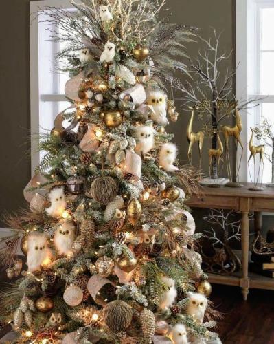 FB_IMG_1607356594592