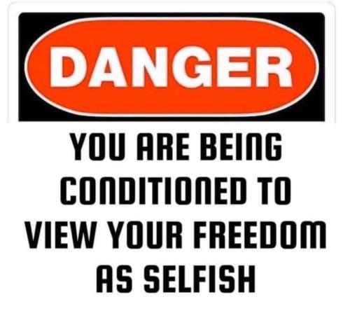 5f7aec4aa54b5752bc4e7449d2602653_500x0