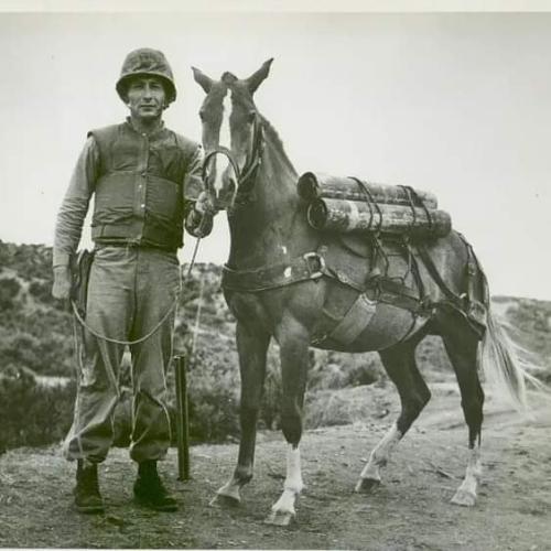 FB_IMG_1636599564170